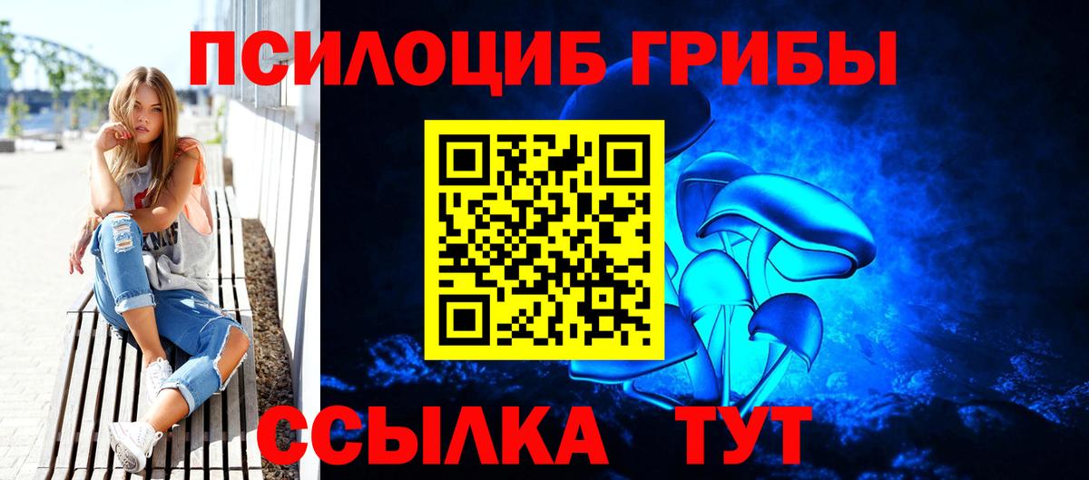 Галлюциногенные грибы Cubensis  Вход с VPN  Кировск  Псилоцибиновые грибы Psilocybine cubensis 